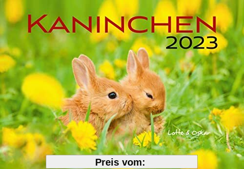 Kaninchen 2023