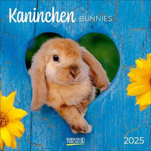Kaninchen 2025: Broschürenkalender mit Ferienterminen. Format: 30 x 30 cm von Korsch Verlag