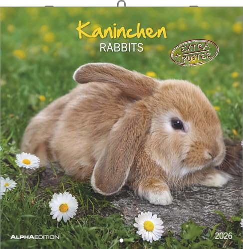 Kaninchen 2026 - Broschürenkalender 30x30 cm (30x60 geöffnet) - Kalender mit Platz für Notizen - Rabbits - Bildkalender - Wandplaner - Wandkalender: Rabbits von ALPHA EDITION