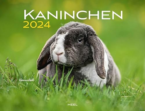 Kaninchen Eintragkalender 2024: Familienplaner von Heel
