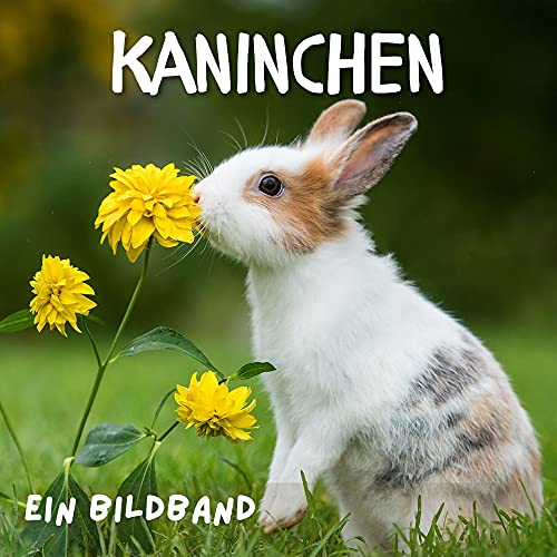 Kaninchen: Ein Bildband