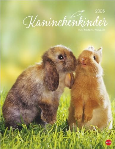 Kaninchenkinder Posterkalender 2025: von Monika Wegler. Ein bezaubernder Tierkalender mit süßen Fotos. Dekorativer Kalender für Tierfreunde. Hochformat 34 x 44 cm. von Heye