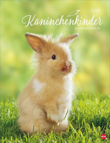 Kaninchenkinder Posterkalender 2026: von Monika Wegler. Ein bezaubernder Tierkalender mit süßen Fotos. Dekorativer Kalender für Tierfreunde. Hochformat 34 x 44 cm. von Heye