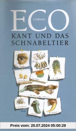 Kant und das Schnabeltier