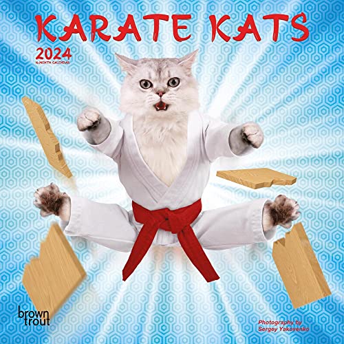 Karate Kats 2024 Mini von BrownTrout