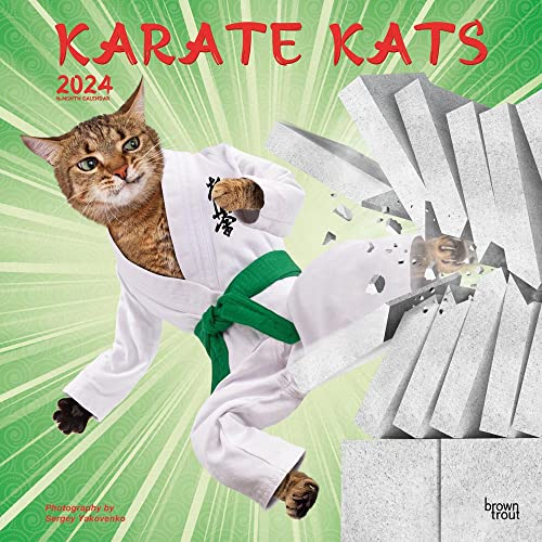 Karate Kats 2024 Square