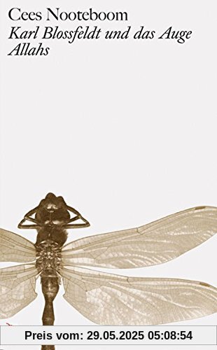Karl Blossfeldt und das Auge Allahs Karl Blossfeldt und das Auge Allahs