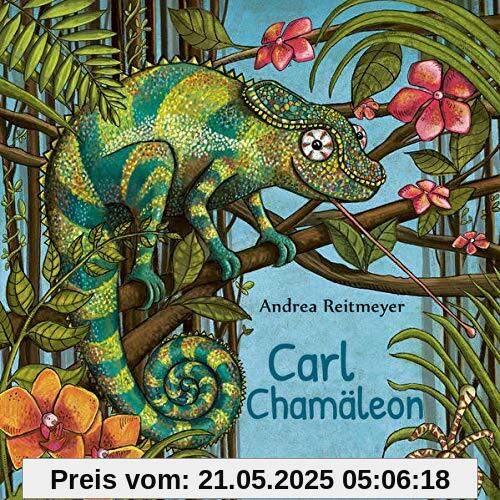 Karl Kunterbunt: Ein Chamäleon zeigt Farbe