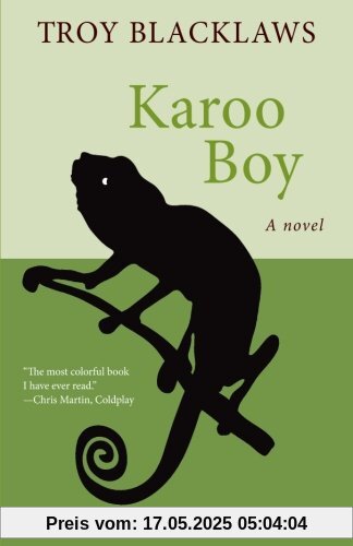 Karoo Boy