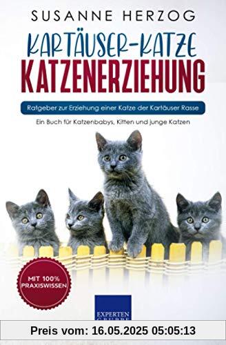 Kartäuser-Katze Katzenerziehung - Ratgeber zur Erziehung einer Katze der Kartäuser Rasse: Ein Buch für Katzenbabys, Kitten und junge Katzen