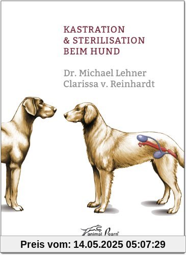 Kastration & Sterilisation beim Hund