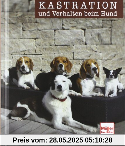 Kastration und Verhalten beim Hund