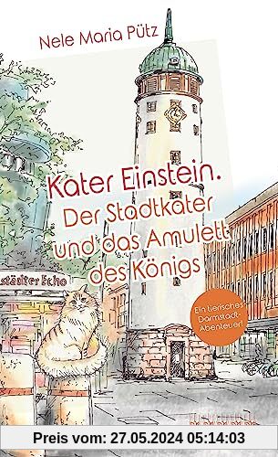 Kater Einstein: Der Stadtkater und das Amulett des Königs