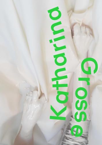 Katharina Grosse: Warum Drei Töne Kein Dreieck Bilden von Hirmer Verlag GmbH