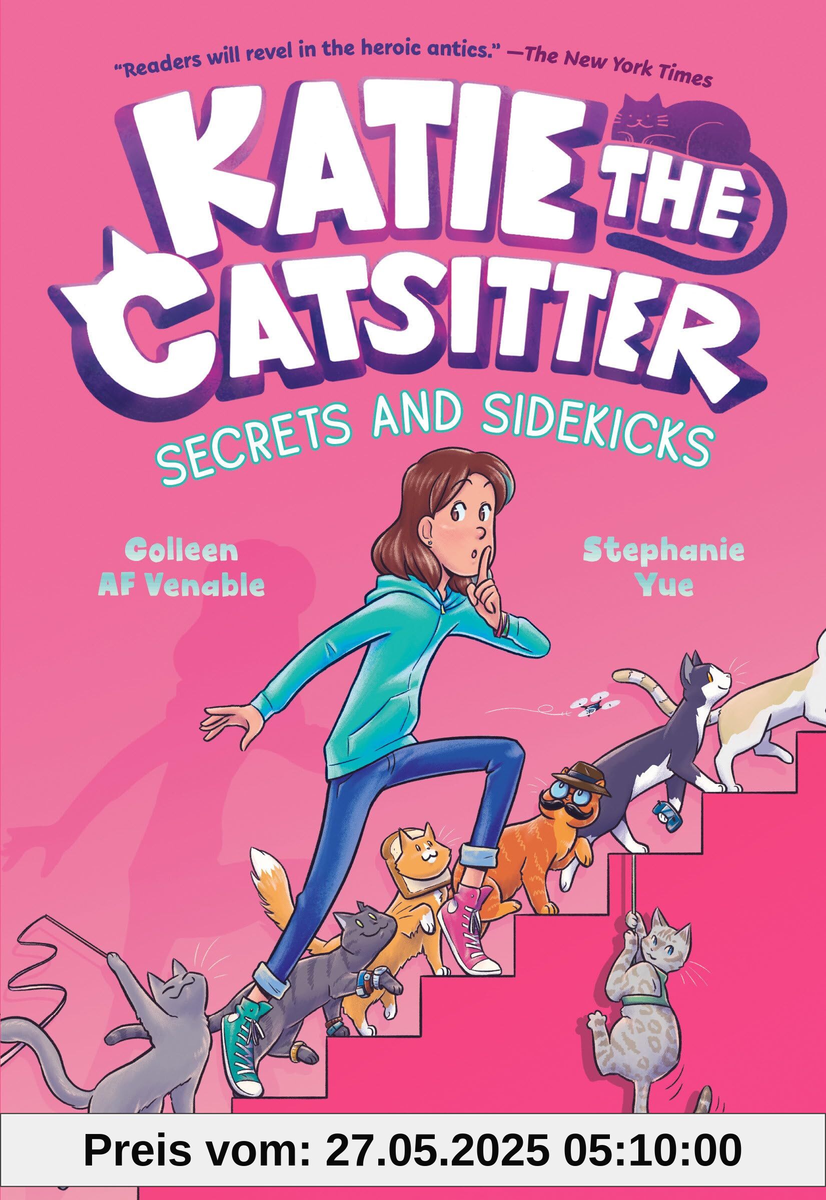 Katie the Catsitter 3: Secrets and Sidekicks: (A Graphic Novel)