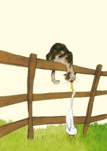 Katze, Postkarten Katze, Postkarten