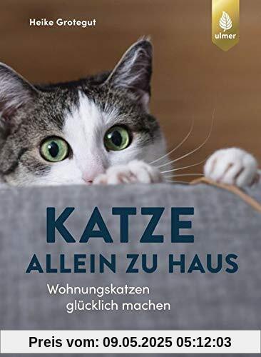 Katze allein zu Haus: Wohnungskatzen glücklich machen