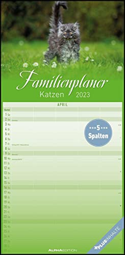 Katzen 2023 Familienplaner - Familien-Timer - Termin-Planer - Kinder-Kalender - Familien-Kalender - 22x45 von Alpha Edition