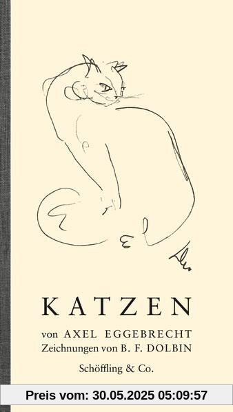Katzen Katzen