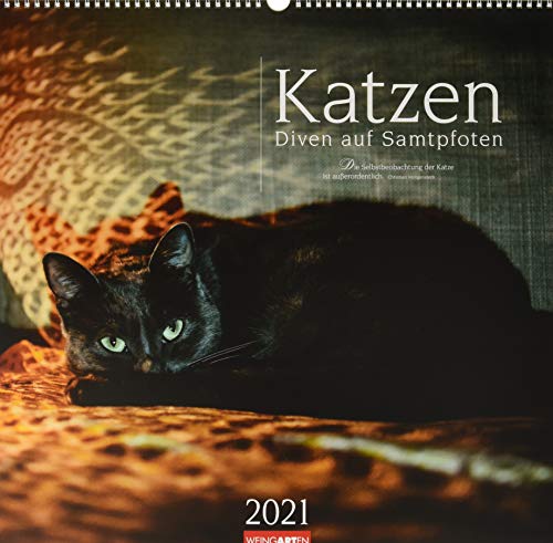Katzen - Diven auf Samtpfoten Kalender 2021 von Weingarten