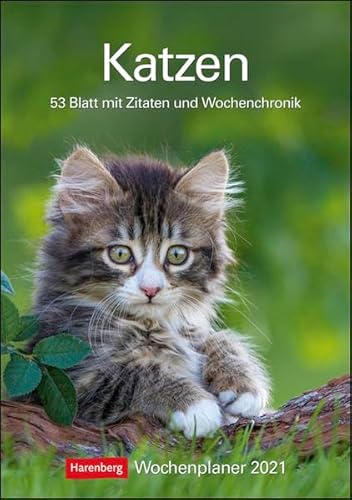 Katzen Kalender 2021: Wochenplaner, 53 Blatt mit Zitaten und Wochenchronik Katzen Kalender 2021: Wochenplaner, 53 Blatt mit Zitaten und Wochenchronik von Harenberg