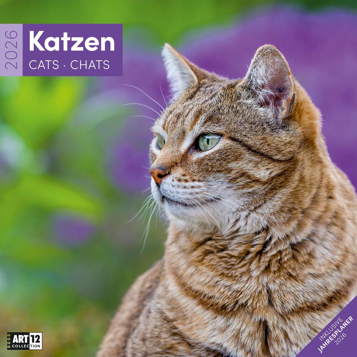 Katzen Broschürenkalender 2026 - 30x30 - Art12 Katzen Broschürenkalender 2026 - 30x30 - Art12 von Ackermann Kunstverlag
