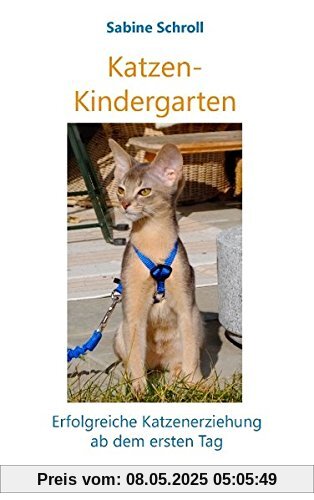 Katzen-Kindergarten