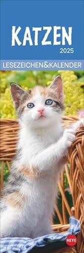 Katzen Lesezeichen & Kalender 2025: Süße Kätzchen in einem Mini-Kalender. Perfekt als kleine Aufmerksamkeit zu Weihnachten. Das Mitbringsel für ... Bücherwürmer! (Lesezeichen & Kalender Heye) von Heye