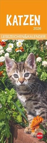 Katzen Lesezeichen & Kalender 2026: Süße Kätzchen in einem Mini-Kalender. Perfekt als kleine Aufmerksamkeit zu Weihnachten. Das Mitbringsel für ... Bücherwürmer! (Lesezeichen & Kalender Heye) von Heye