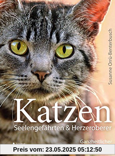 Katzen – Seelengefährten & Herzeroberer: Ganzheitlicher Praxis-Leitfaden