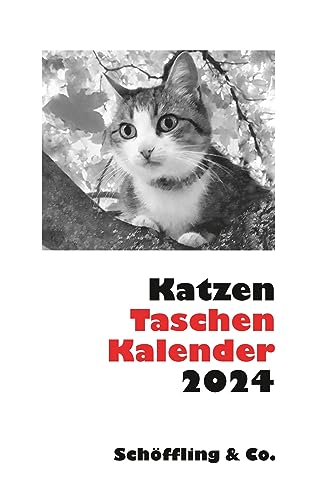 Katzen Taschenkalender 2024 von Schöffling