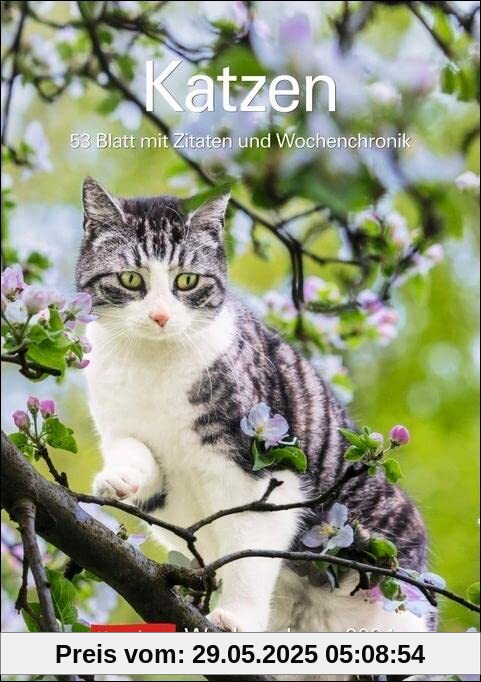 Katzen Wochenplaner 2024: 53 Blatt mit Zitaten und Wochenchronik