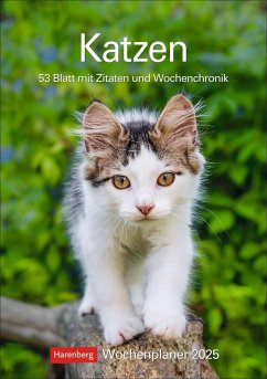 Katzen Wochenplaner 2025 - 53 Blatt mit Zitaten und Wochenchronik von Harenberg