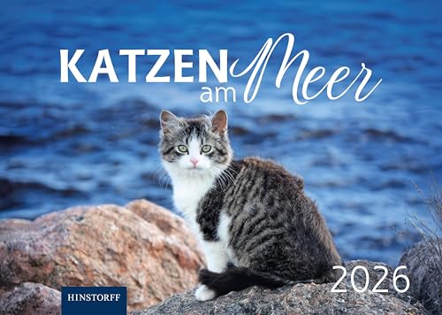 Katzen am Meer 2026 von Hinstorff