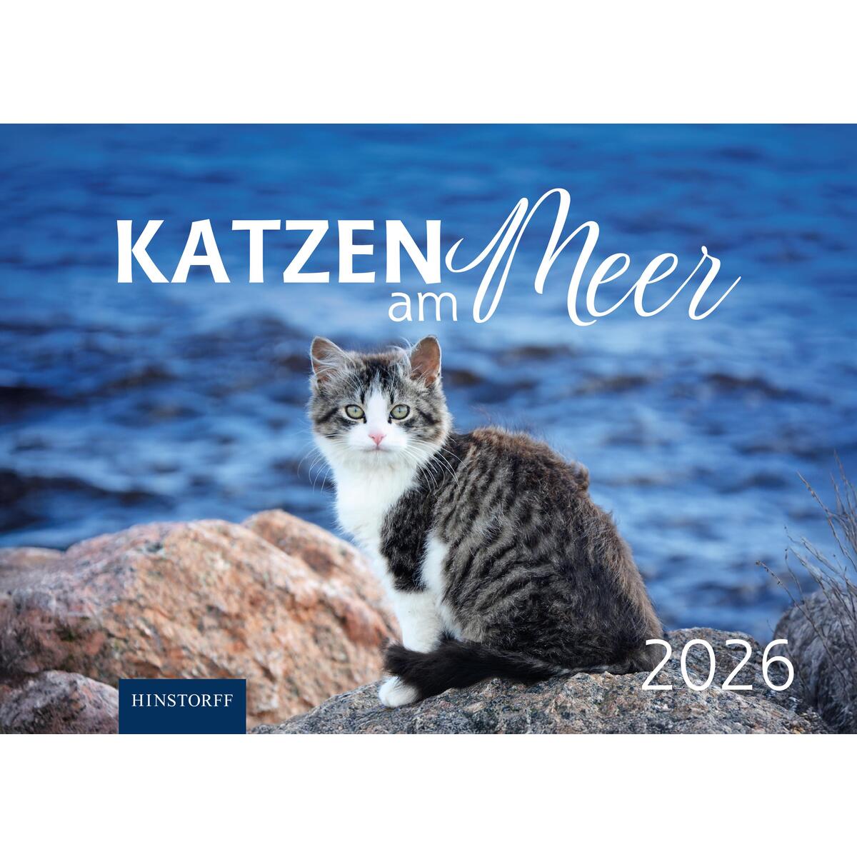 Katzen am Meer 2026 von Hinstorff Verlag GmbH