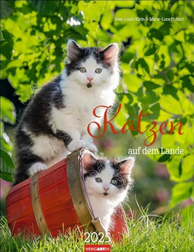 Katzen auf dem Lande Kalender 2025: Süße Kätzchen in ländlicher Idylle: Ein Foto-Kalender zum Dahinschmelzen. Planer mit Platz zum Eintragen. Hochformat 30 x 39 cm (Tierkalender Weingarten)