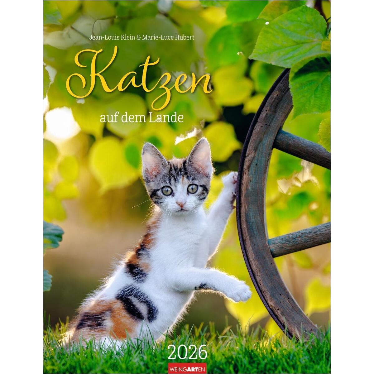 Katzen auf dem Lande Kalender 2026 von Weingarten