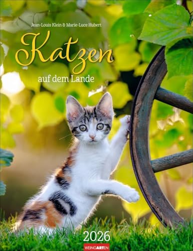 Katzen auf dem Lande Kalender 2026: Süße Kätzchen in ländlicher Idylle: Ein Foto-Kalender zum Dahinschmelzen. Planer mit Platz zum Eintragen. Hochformat 30 x 39 cm (Tierkalender Weingarten) von Weingarten