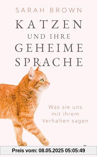 Katzen und ihre geheime Sprache: Was sie uns mit ihrem Verhalten sagen