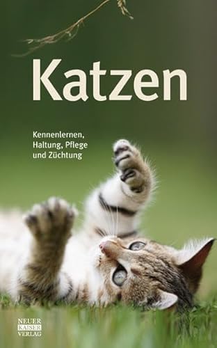 Katzen: Kennenlernen, Haltung, Pflege und Züchtung von Neuer Kaiser Verlag