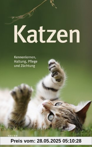 Katzen: Kennenlernen, Haltung, Pflege und Züchtung