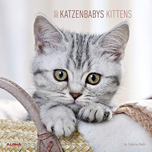 Katzenbabys 2021 - Broschürenkalender 30x30 cm (30x60 geöffnet) - Kittens - Bild-Kalender - Wandplaner - mit Platz für Notizen - Alpha Edition: by Sabine Rath von Alpha Edition