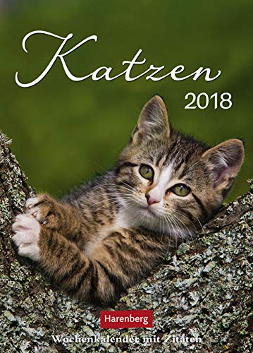 Katzenglück Wochenkalender 2023. Jede Woche eine süße Katze in dem kleinen Fotokalender. Passende Zitate und niedliche Fotos machen diesen Kalender im Mini-Format zum echten Blickfang!: mit Zitaten