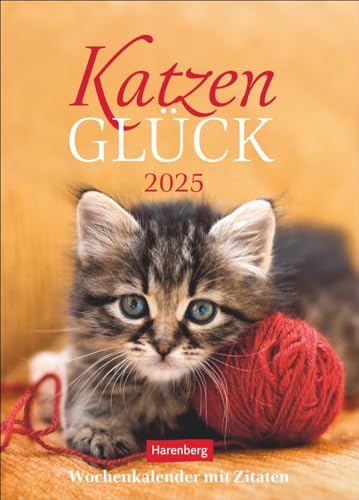 Katzenglück Wochenkalender 2025 - mit Zitaten: Jede Woche eine süße Katze in dem kleinen Fotokalender. Passende Zitate und niedliche Fotos machen ... echten Blickfang! (Wochenkalender Harenberg)