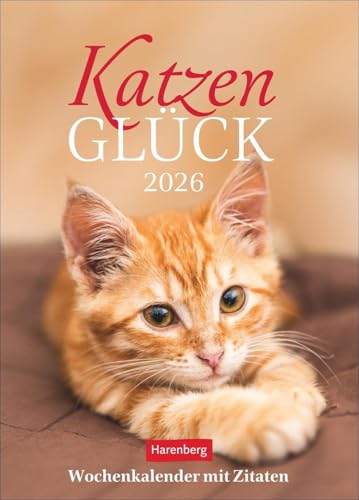 Katzenglück Wochenkalender 2026 - mit Zitaten: Jede Woche eine süße Katze in dem kleinen Fotokalender. Passende Zitate und niedliche Fotos machen ... echten Blickfang! (Wochenkalender Harenberg) von Harenberg