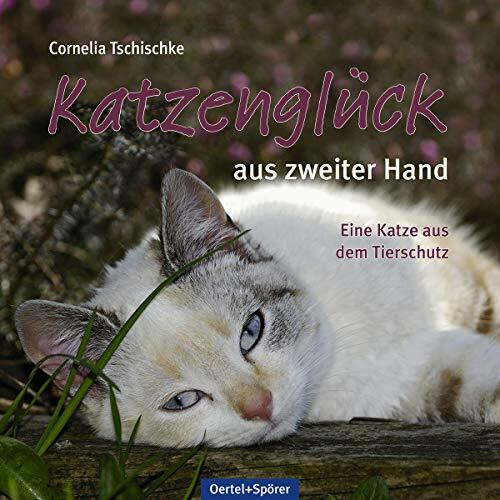 Katzenglück aus zweiter Hand: Eine Katze aus dem Tierschutz Katzenglück aus zweiter Hand: Eine Katze aus dem Tierschutz