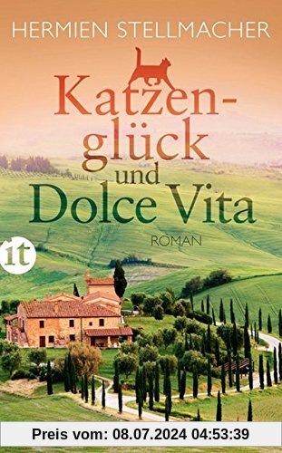 Katzenglück und Dolce Vita: Roman (insel taschenbuch)