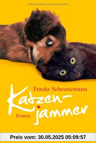 Katzenjammer: Band 2 - Roman