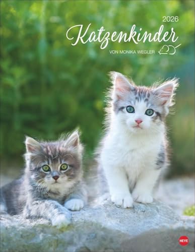 Katzenkinder Posterkalender 2026: von Monika Wegler. Unwiderstehliche Katzenbabys im Porträt. Ein großer Wandkalender wunderschönen Fotos. Dekorativer Katzen-Kalender. von Heye