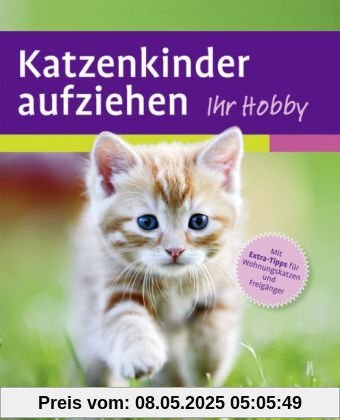 Katzenkinder aufziehen: Ein praktischer Ratgeber für das erste Lebensjahr